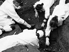欧洲设立首座“法医墓地”