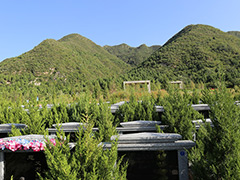 北京市昌平区正规公墓有几家？