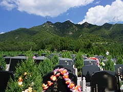 十三陵景仰园骨灰林管理处怎么样？
