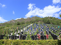 十三陵景仰园墓地如何预约？