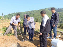 2021年2月（春节期间）迁坟黄道吉日一览表