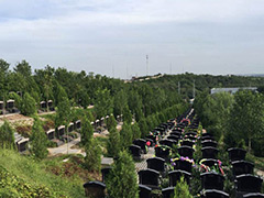 北京丰台公墓玉叶陵园预约电话多少？乘公交能到玉叶墓地西门吗？