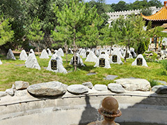 北京延庆区树葬墓地有哪些地方？延庆树葬墓地名单价格一览表最新