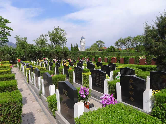 墓地环境