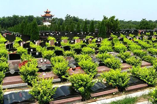 墓区环境