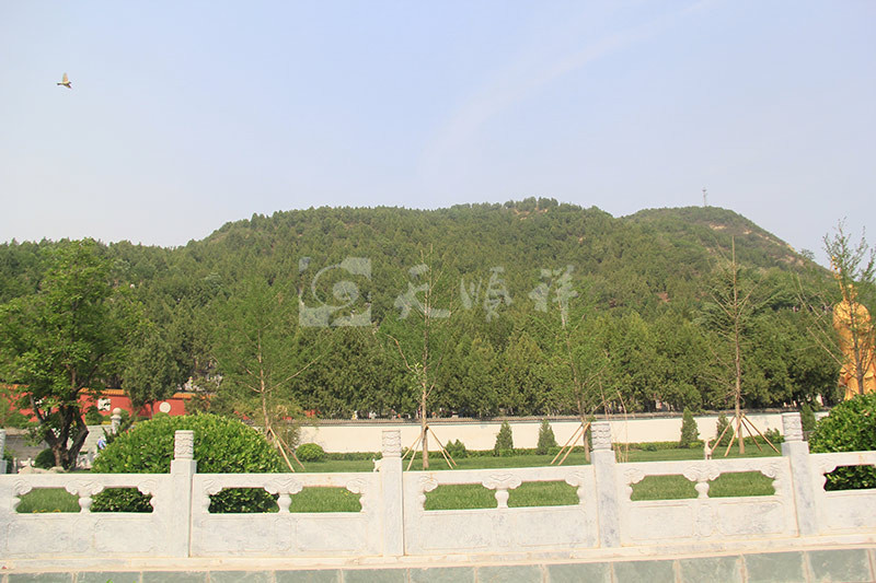 九里山公墓二区环境