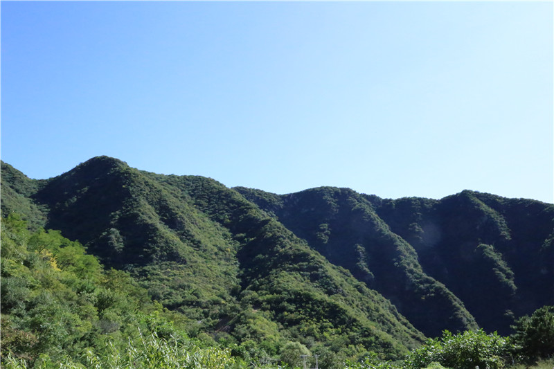 九公山长城纪念林周边环境