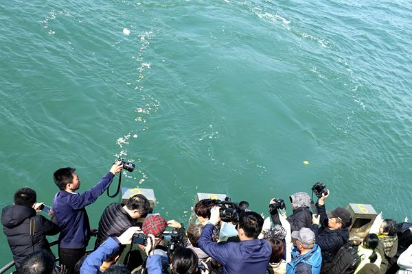骨灰海撒现场