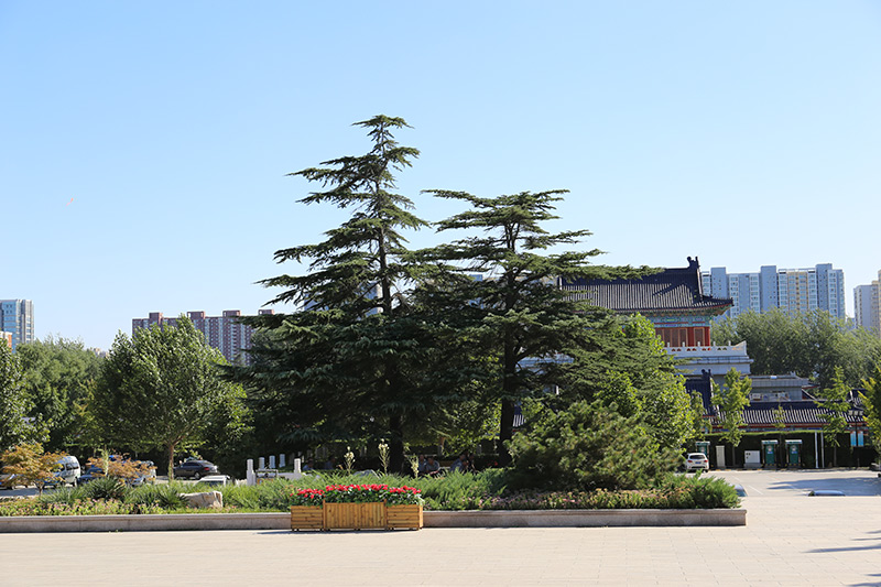 八宝山殡仪馆馆内景观