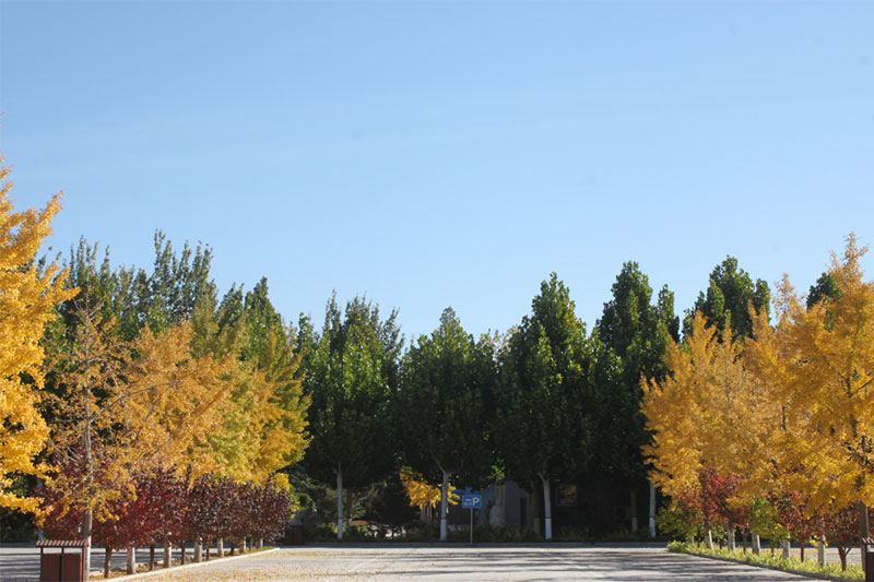 三河灵山宝塔陵园停车场