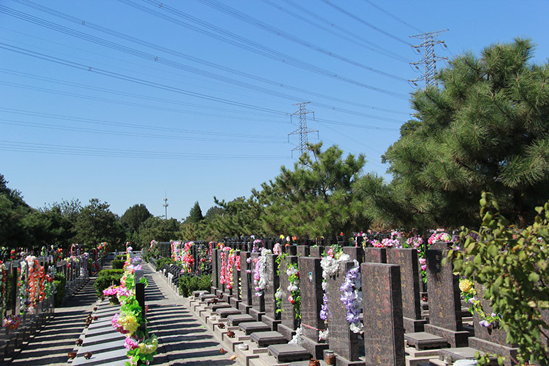 朝阳陵园墓区景观