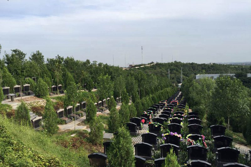 玉叶陵园墓区景观