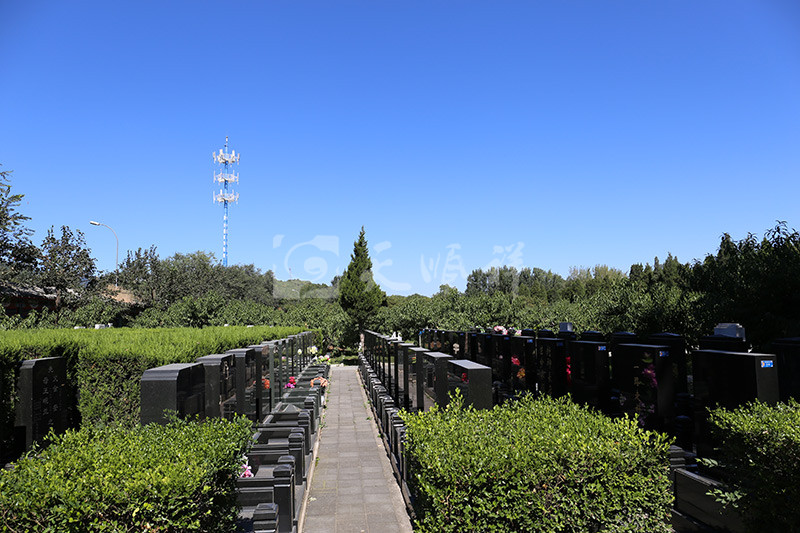 福田公墓墓区景观