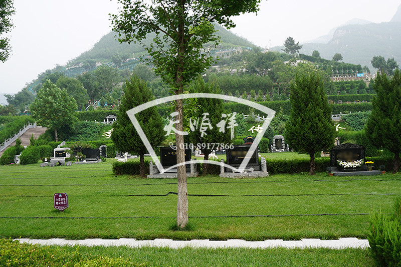 桃峰陵园雨后景观