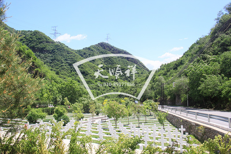 九公山长城纪念林
