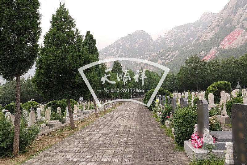 佛山陵园墓区实拍