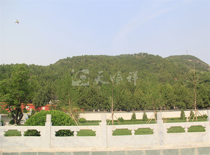九里山公墓二区远景实拍