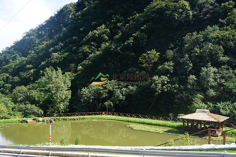 九公山长城纪念林环境