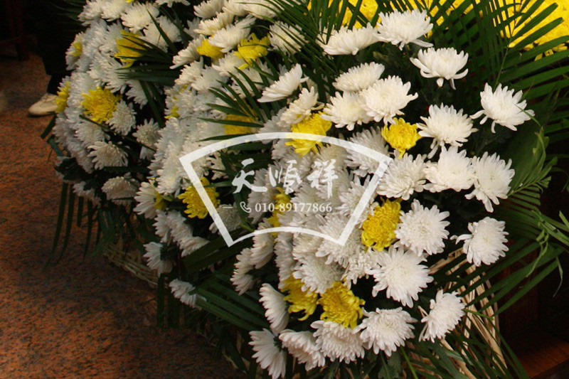 未标题-22.jpg